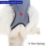 Cat Recovery Suit Onesie for Post-Surgery Comfort