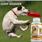 Turmeric Chews for Dogs – Joint Pain Relief