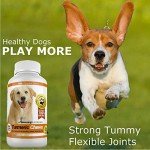 Turmeric Chews for Dogs – Joint Pain Relief