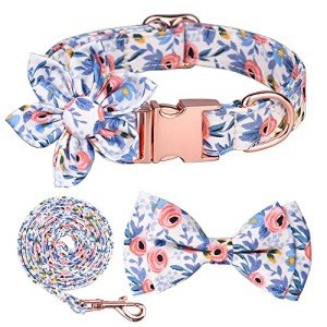 Floral Bowtie Dog Collar and Leash Set