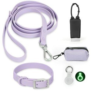 Adjustable Waterproof Dog Collar and Leash Set
