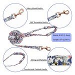 Floral Bowtie Dog Collar and Leash Set