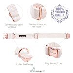 Soft White Velvet Dog Collar and Leash Set