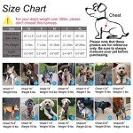 Breathable Step-In Dog Harness for Small Dogs