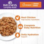 Wellness Complete Health Grain-Free Wet Cat Food