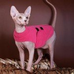 Cozy Fleece Dog Sweater with Leash Hole - Pink