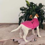 Cozy Fleece Dog Sweater with Leash Hole - Pink