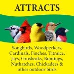 Wild Delight Nut N-Berry Bird Food, 20 lb