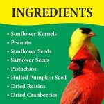 Wild Delight Nut N-Berry Bird Food, 20 lb