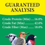 Wild Delight Nut N-Berry Bird Food, 20 lb