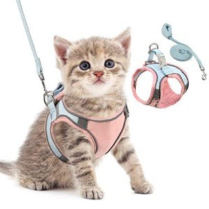 Pet Harness and Leash Set for Small Pets