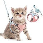 Pet Harness and Leash Set for Small Pets
