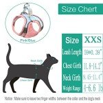 Pet Harness and Leash Set for Small Pets