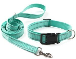 Adjustable Reflective Dog Collar and Leash Set