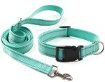 Adjustable Reflective Dog Collar and Leash Set