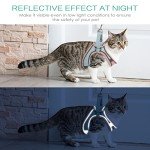 Pet Harness and Leash Set for Small Pets