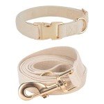 Soft Corduroy Dog Collar and Leash Set - Beige