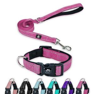 Reflective Dog Collar and Leash Set, Hot Pink