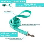 Adjustable Reflective Dog Collar and Leash Set