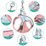 Pet Harness and Leash Set for Small Pets