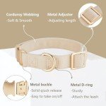 Soft Corduroy Dog Collar and Leash Set - Beige