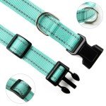 Adjustable Reflective Dog Collar and Leash Set