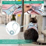 Pet Harness and Leash Set for Small Pets