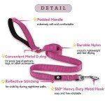 Reflective Dog Collar and Leash Set, Hot Pink