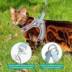 Pet Harness and Leash Set for Small Pets