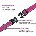 Reflective Dog Collar and Leash Set, Hot Pink