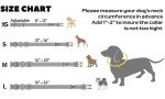 Adjustable Reflective Dog Collar and Leash Set