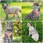 Pet Harness and Leash Set for Small Pets