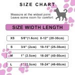 Reflective Dog Collar and Leash Set, Hot Pink