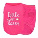Pink 'Little Miss Sassy' Corgi Dog Shirt