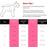 Pink 'Little Miss Sassy' Corgi Dog Shirt