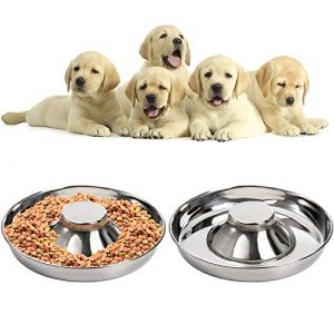 SOUJOY 2 Pack Non-Skid Stainless Steel Pet Bowls