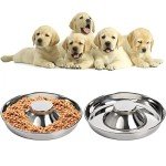SOUJOY 2 Pack Non-Skid Stainless Steel Pet Bowls