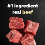 Cesar Small Breed Dry Dog Food - Filet Mignon