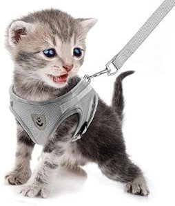 Soft Mesh Dog Harness and Leash Set - Grey