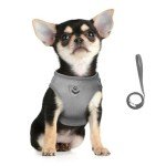 Soft Mesh Dog Harness and Leash Set - Grey