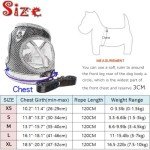 Soft Mesh Dog Harness and Leash Set - Grey