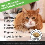 Cat Probiotics Chews for Gut and Immune Health