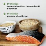 Cat Probiotics Chews for Gut and Immune Health