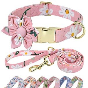 Floral Dog Collar and Leash Set for Girls