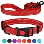 Reflective Dog Collar and Leash Set in Red