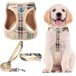 PUPTECK No Pull Adjustable Dog Harness & Leash Set