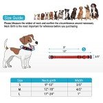 Reflective Dog Collar and Leash Set in Red