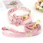 Floral Dog Collar and Leash Set for Girls