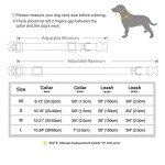 Floral Dog Collar and Leash Set for Girls