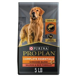 Purina Pro Plan Salmon & Rice Dog Food 5 lb